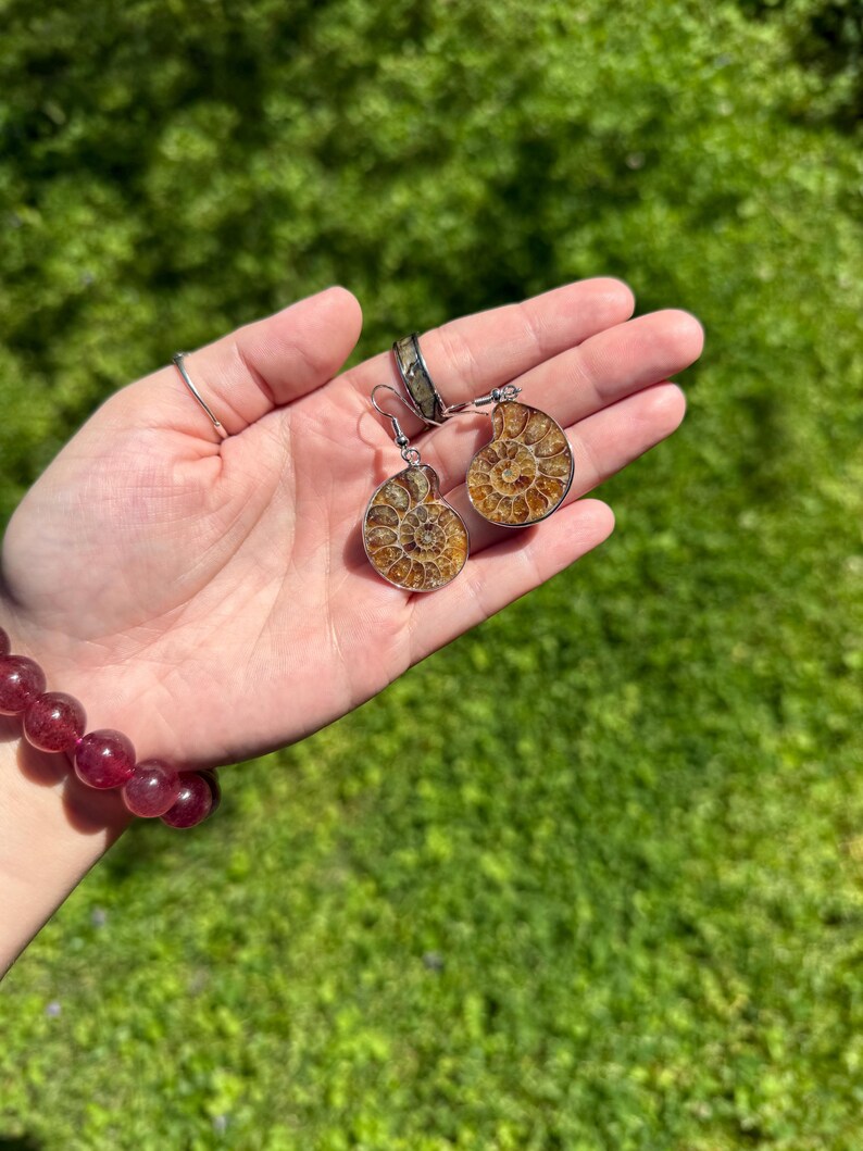 May include: A pair of silver earrings with fossilized ammonite shell inlays. The ammonites are a light brown color with a spiral pattern.
