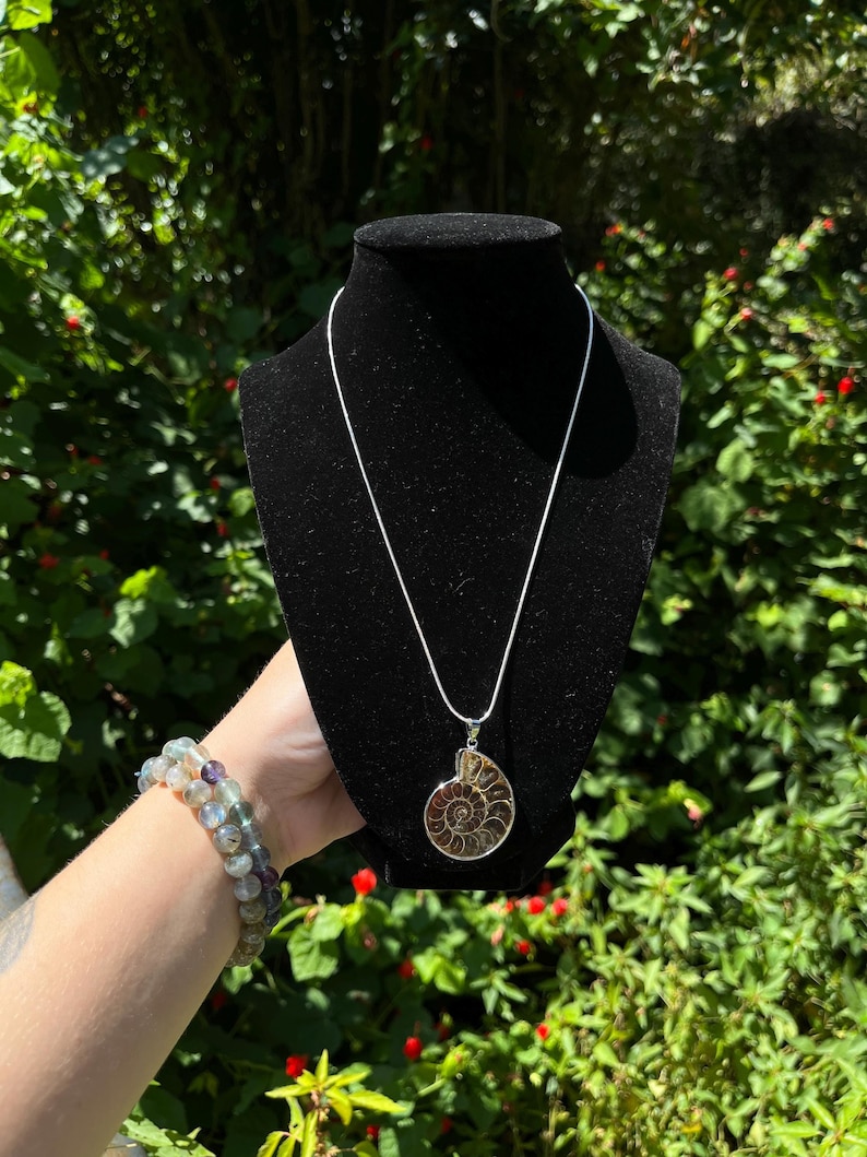 May include: A silver chain necklace with a large ammonite fossil pendant. The pendant is a natural brown color with a spiral pattern.