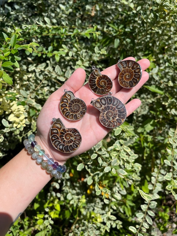 Ammonite Necklaces | Crystal Jewelry, Fossil Necklace, Sacred Spiral, Unique, Metaphysical, Esoteric Accessory, Intuitively Chosen