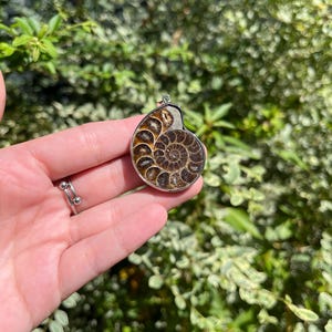 May include: A silver pendant featuring a fossilized ammonite with a brown and black spiral pattern.