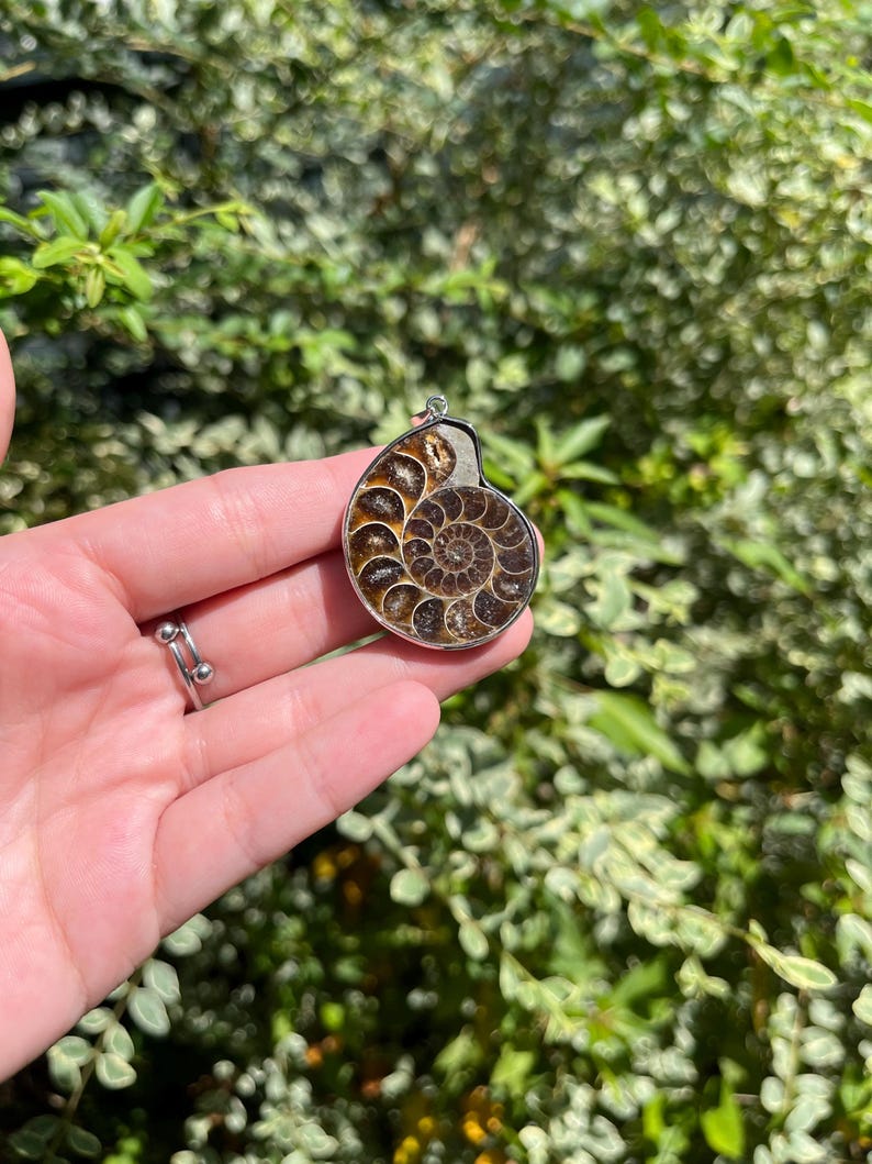 May include: A silver pendant featuring a fossilized ammonite with a brown and black spiral pattern.