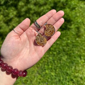 May include: A pair of silver earrings with fossilized ammonite shell inlays. The ammonites are a light brown color with a spiral pattern.
