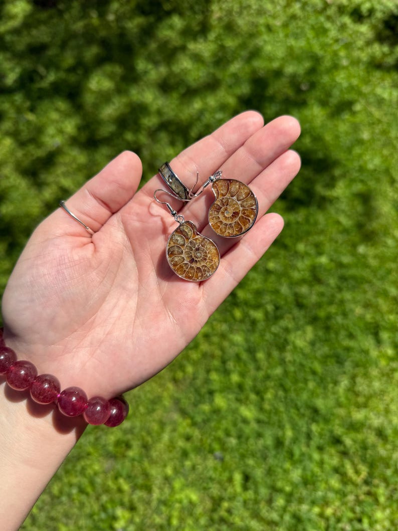May include: A pair of silver earrings with fossilized ammonite shell inlays. The ammonites are a light brown color with a spiral pattern.