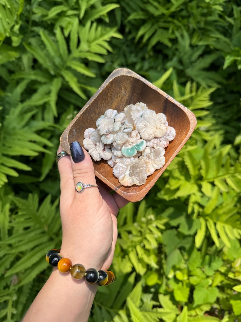 May include: A wooden bowl filled with small, flower-shaped, off-white stones, some with a light green hue. The bowl is held in a hand, with a bracelet of black, orange, and yellow beads on the wrist. Green foliage forms the background.
