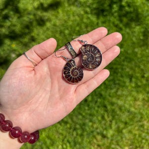 May include: A pair of silver earrings with a brown and gold ammonite fossil design.