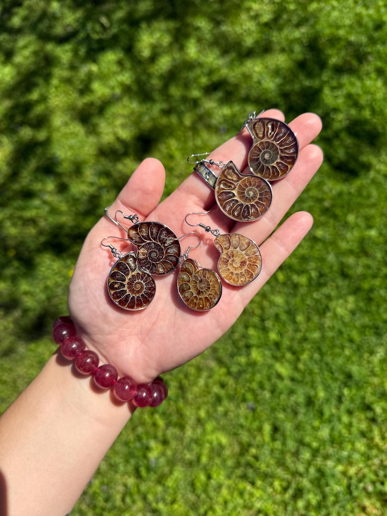 May include: Three pairs of silver ammonite earrings. Each pair features a different size and color of ammonite fossil.