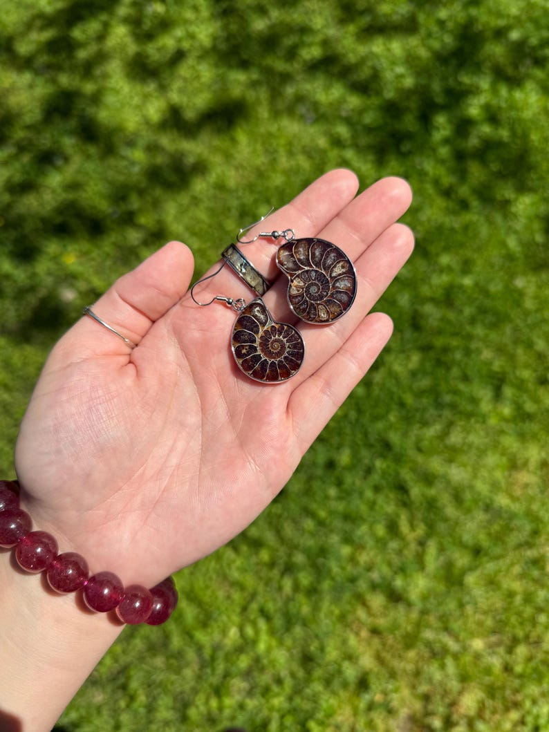 May include: A pair of silver earrings with a brown and gold ammonite fossil design.