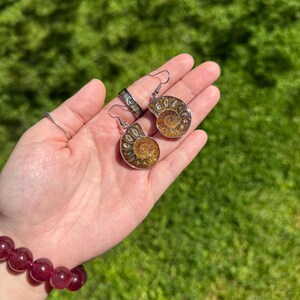 May include: A pair of silver earrings featuring fossilized ammonite shells. The shells are a mix of brown, gold, and white with intricate spiral patterns.