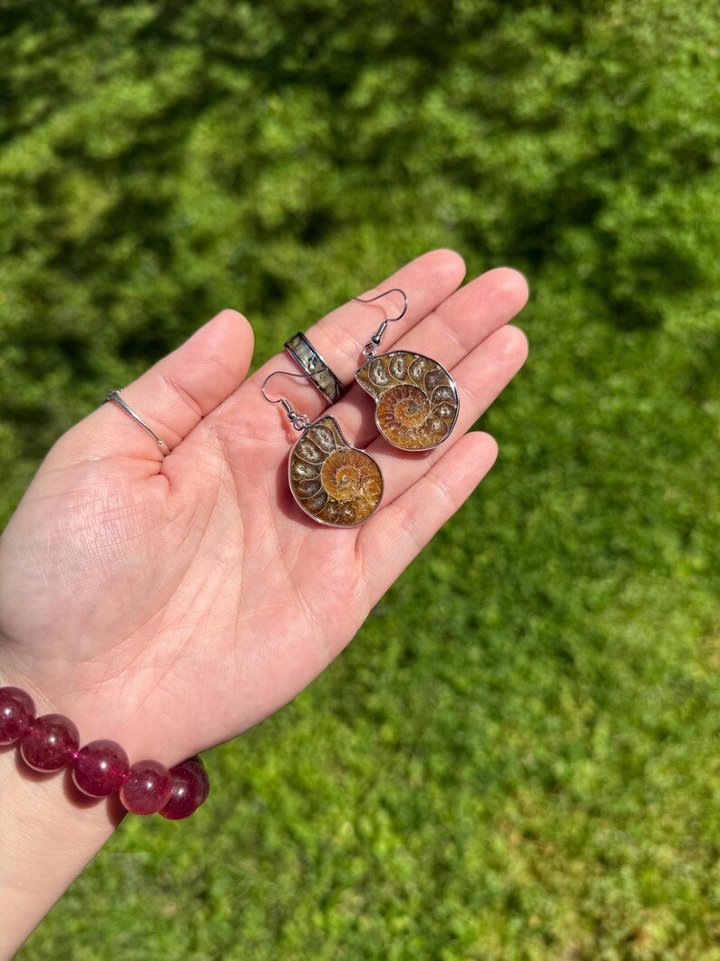 May include: A pair of silver earrings featuring fossilized ammonite shells. The shells are a mix of brown, gold, and white with intricate spiral patterns.
