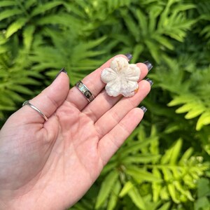May include: A carved, off-white flower-shaped stone held in a hand. The stone has detailed petal carvings and a slightly orange center. The background is a lush green fern.