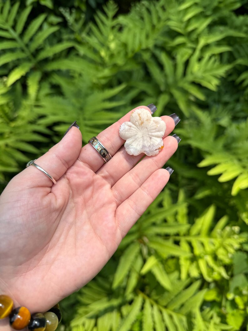 May include: A carved, off-white flower-shaped stone held in a hand. The stone has detailed petal carvings and a slightly orange center. The background is a lush green fern.