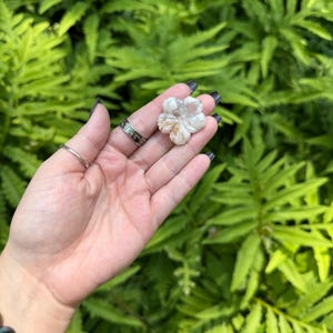 May include: A small, flower-shaped stone with a light beige and white color scheme. The stone is held in a hand against a backdrop of lush green foliage. The flower has five petals and a textured surface.