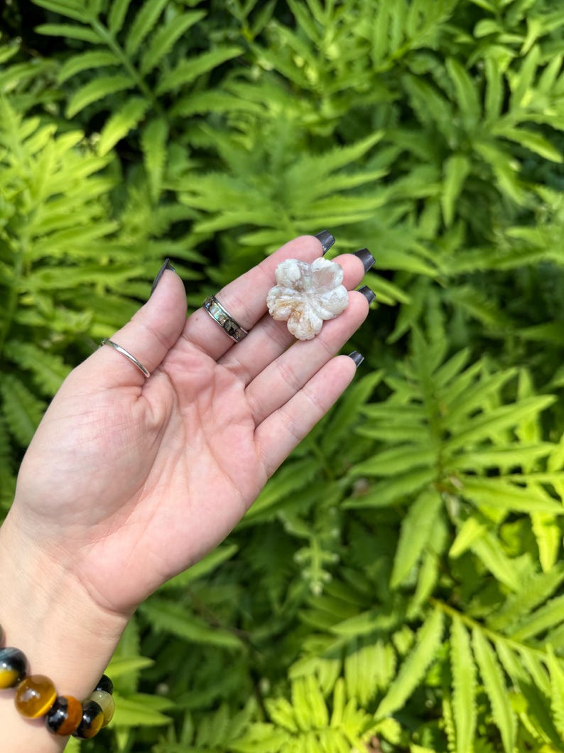 May include: A small, flower-shaped stone with a light beige and white color scheme. The stone is held in a hand against a backdrop of lush green foliage. The flower has five petals and a textured surface.
