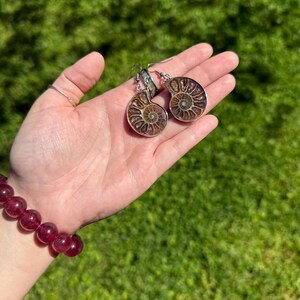 May include: A pair of silver earrings featuring fossilized ammonite shells. The ammonites are brown and have a spiral pattern. The earrings are hanging from silver hooks.