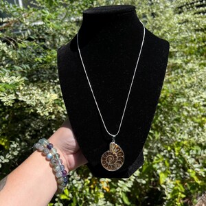 May include: A silver chain necklace with a large, brown ammonite fossil pendant. The pendant is a spiral shape with a natural, iridescent finish.