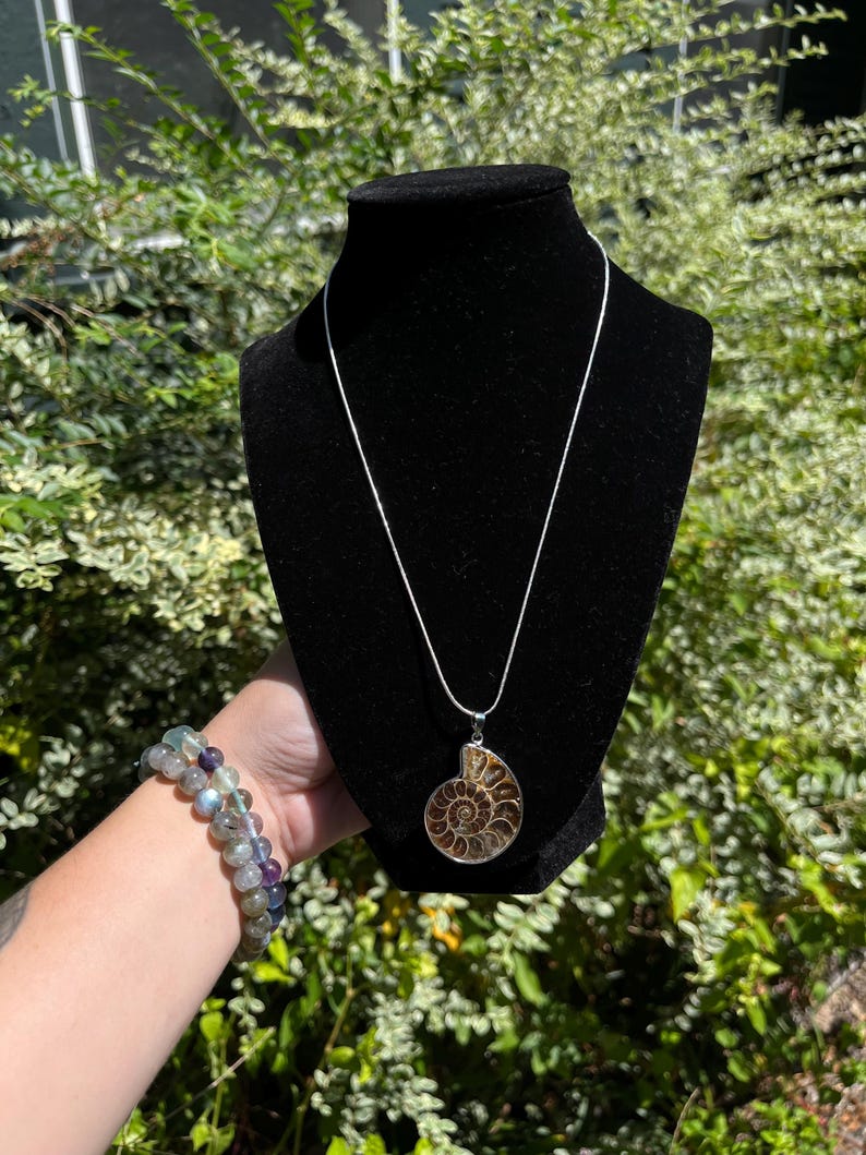 May include: A silver chain necklace with a large, brown ammonite fossil pendant. The pendant is a spiral shape with a natural, iridescent finish.