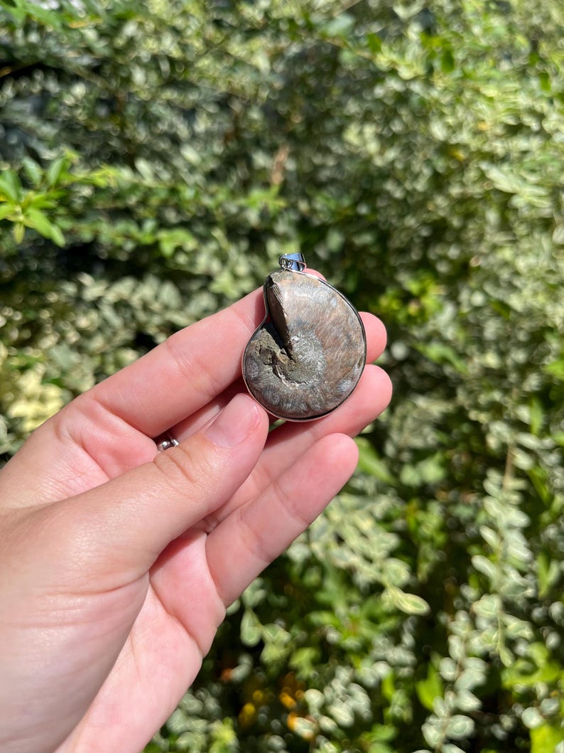 May include: A silver pendant featuring a fossilized ammonite with a brown and white swirl pattern.