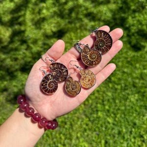 May include: A set of four ammonite fossil earrings. The earrings are silver-toned and feature a variety of brown and gold ammonite fossils.