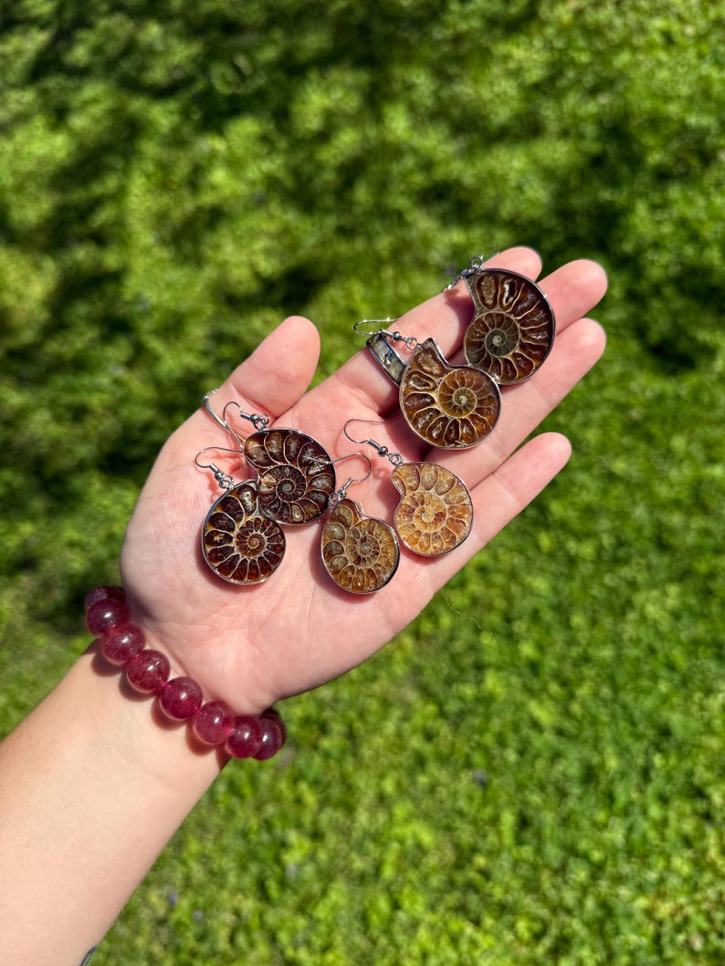 May include: A set of four ammonite fossil earrings. The earrings are silver-toned and feature a variety of brown and gold ammonite fossils.