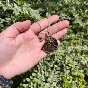 May include: A silver chain necklace with a brown and gold ammonite pendant. The pendant is a fossilized shell with a spiral pattern.
