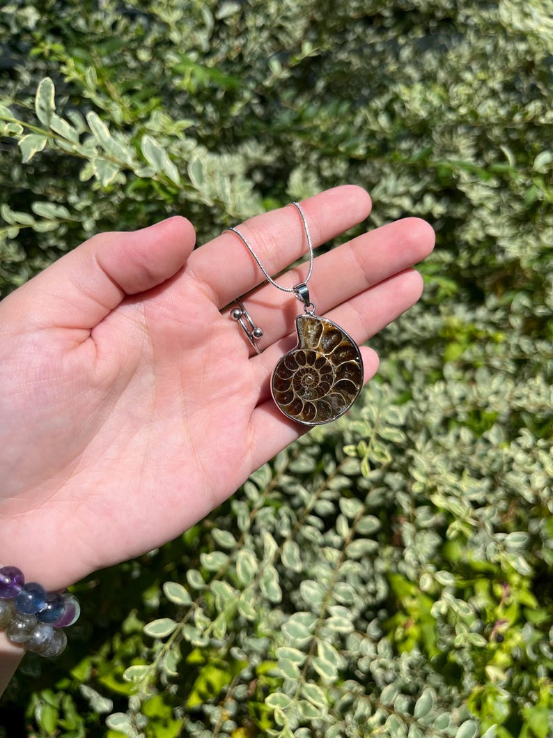 May include: A silver chain necklace with a brown and gold ammonite pendant. The pendant is a fossilized shell with a spiral pattern.