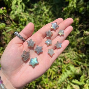 May include: A collection of nine iridescent labradorite star-shaped crystals. The crystals are a light grey color with blue and green iridescent flashes.