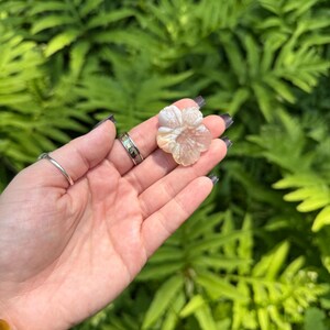 May include: A carved, flower-shaped gemstone in shades of cream and peach is held in a hand. The gemstone is the focal point, with a detailed petal design. The background is a lush green fern.