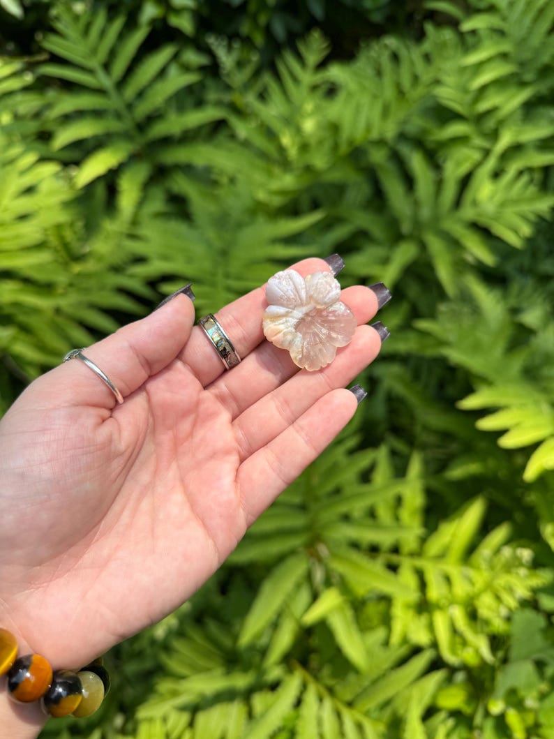 May include: A carved, flower-shaped gemstone in shades of cream and peach is held in a hand. The gemstone is the focal point, with a detailed petal design. The background is a lush green fern.