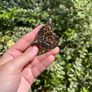 May include: A silver pendant featuring a fossilized ammonite with a brown and black spiral pattern.
