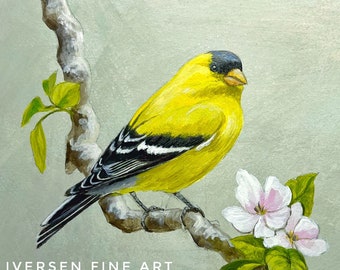 Hand painted original goldfinch cherry blossoms, song bird