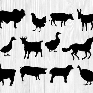 Farm Animal SVG, Animal SVG Bundle, Farm Life Svg, Farm House Svg, Farm Animal Silhouette, Farm Animal Cut File, Animals Cut File