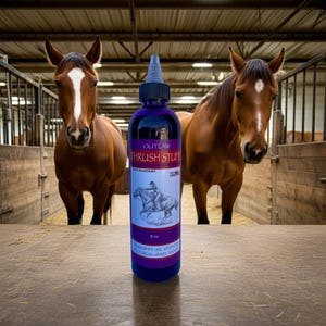 Tratamento para candidíase em cavalos Coisas fora da lei Tratamento para candidíase em cavalos Cuidados com a linha branca em cavalos Abcessos nos cascos Cuidados com os cascos