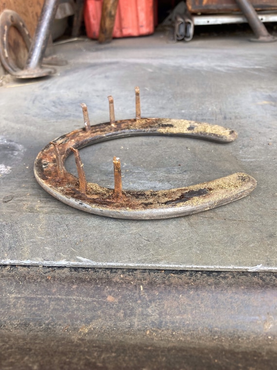 ラッキー中古蹄鉄（釘付き）、蹄鉄工の本物の馬の蹄 - Etsy 日本