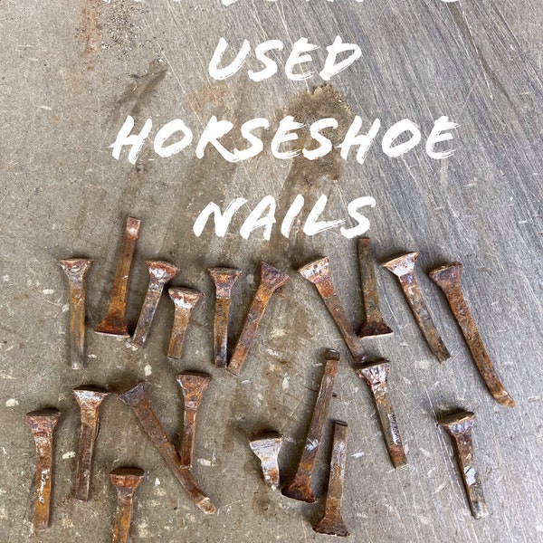 Horseshoe Nail Art Etsy
