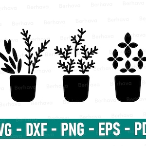 Plantas de interior svg/png/dxf/eps/pdf,Planta en maceta SVG,Planta de interior Svg, Plantas en macetas Svg, Planta de interior Svg, Planta mamá, Señora de la planta,Silueta de maceta