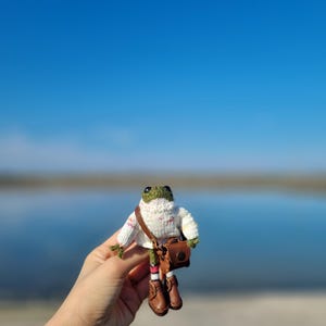 Cute Knitted Frog – Handmade Plush Toy – Optional Shoes & Bag, Kinitting frog - Lovely Knitted Frog - Tiny Green Frog - Handmade Gift