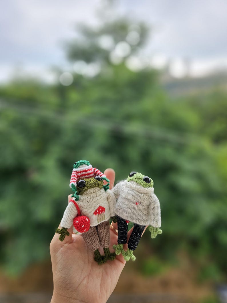 Cute Lovely Frog Family, Amigurumi Frog, Handmade frog knitting, Frog family, knitting handmade, Brithday gift, family gift image 9