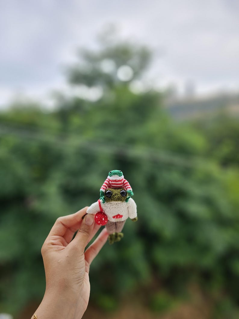 Cute Lovely Frog Family, Amigurumi Frog, Handmade frog knitting, Frog family, knitting handmade, Brithday gift, family gift image 10
