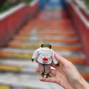 May include: A small knitted frog wearing a white sweater with a red mushroom design and brown pants. The frog is being held in a hand.