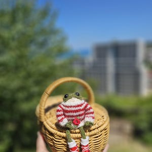 Handmade Crochet Frog Amigurumi: Romantic Gift with Watercolor Art