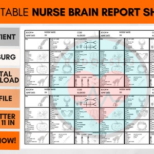 4 Patient Nurse Report Printable, SBAR RN Handoff, Simple Full Patient Assessment, MedSurg Brain Sheet, Nursing Student Report PDF, Digital