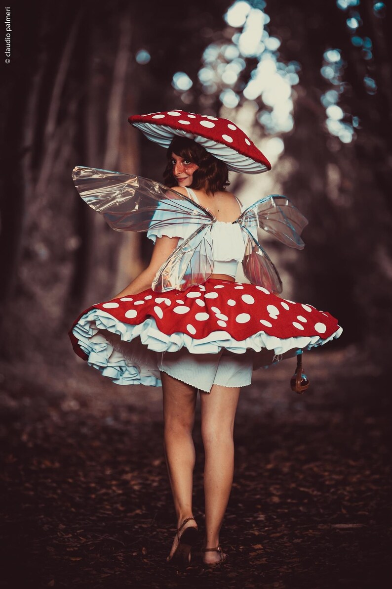 Handcrafted woodland fairy wings used as decorative accents for a cricket watch party