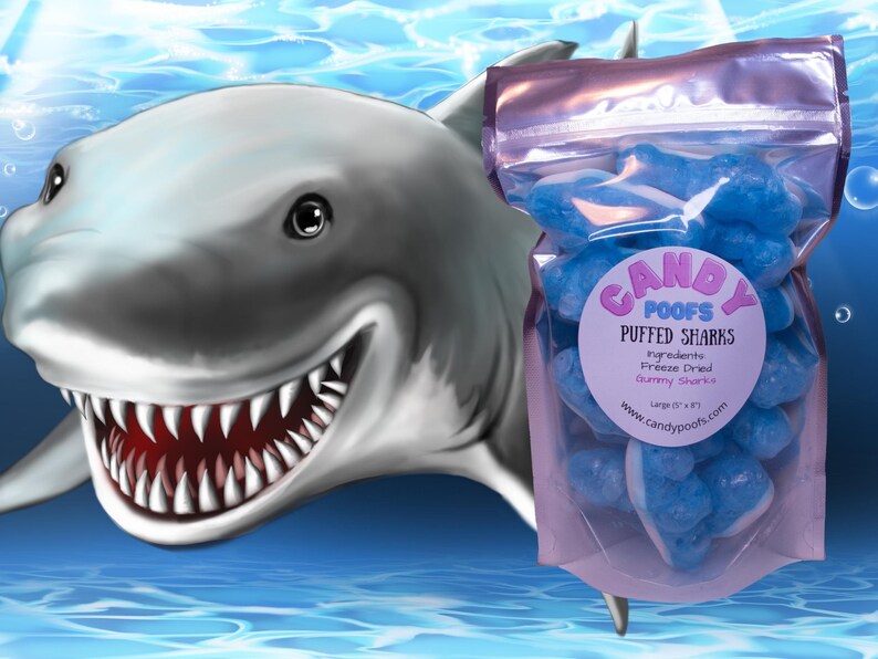 Puffed Sharks Ingredients Freeze Dried Gummy Sharks That Etsy