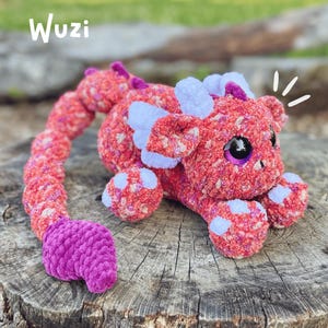 May include: A handmade, plush dragon toy in shades of red, pink, and purple. The dragon has large, black eyes, light blue accents, and a long tail. The word "Wuzi" is written in white script at the top.