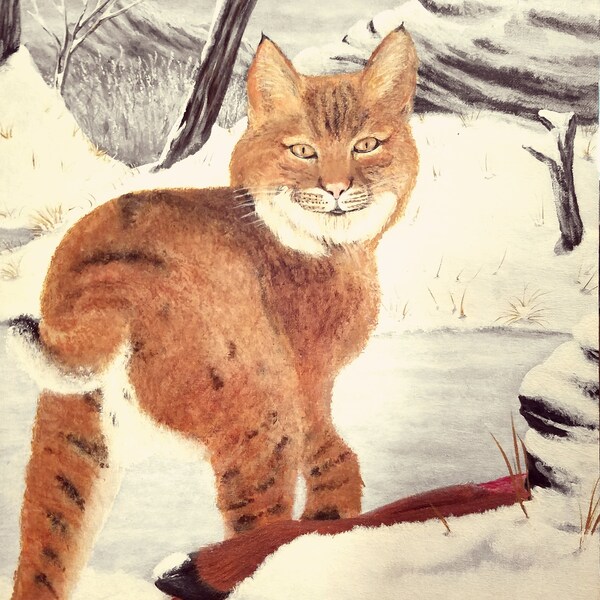 Hand Painted, original painting, acrylic on canvas panel, Bobcat, Nature, winter