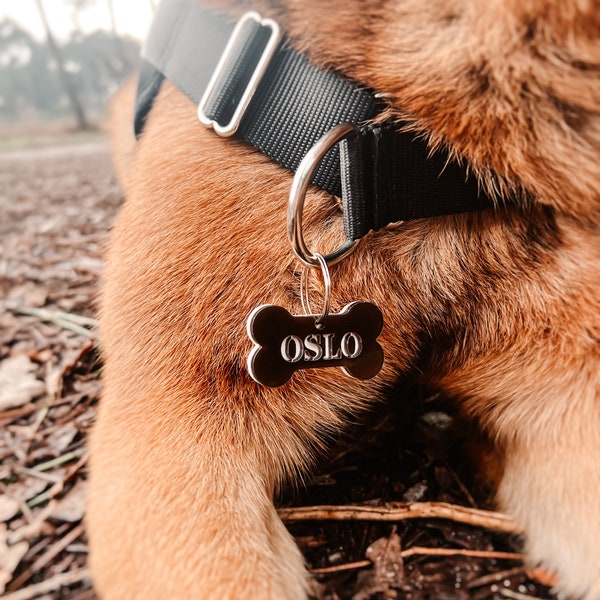 Médaille chien os, avec prénom et numéro de téléphone à personnaliser