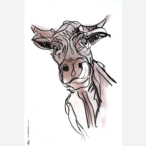 Vache 2