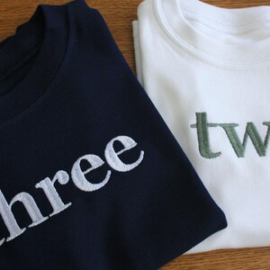 Embroidered Birthday T-Shirt, Custom Kids Party Outfit, Gift. image 4