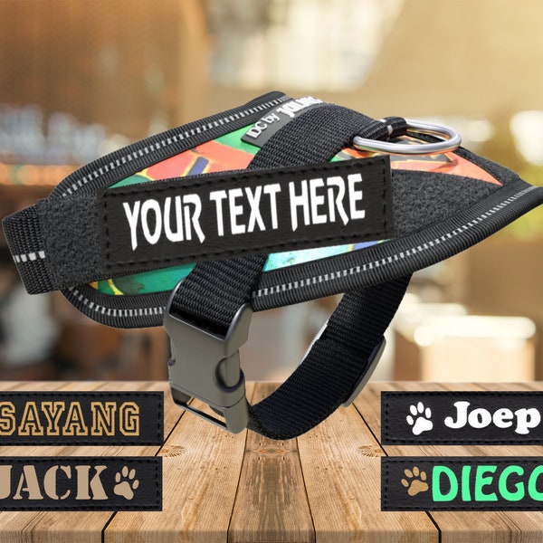 Julius K9 Name Tag Etsy UK