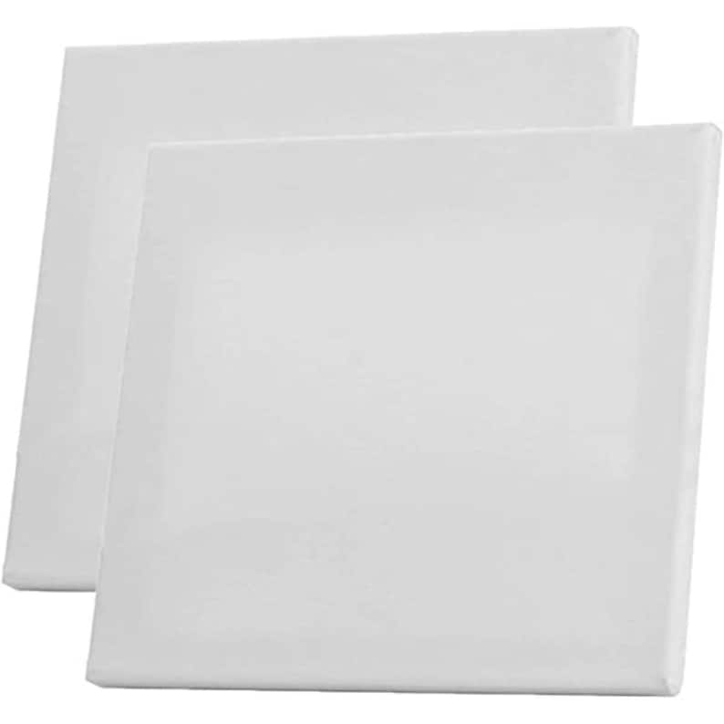 May include: Two white canvas panels, ready for painting. The panels are rectangular and have a smooth, white surface.